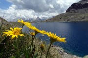 29 E siamo al Lej de la Tscheppa (2617 m) colorato d'azzurro intenso